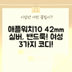 애플워치10 42mm 실버, 스테인리스 밴드: 레이디스 룩 3가지