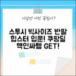 스투시 빅사이즈 반팔 티셔츠, 힙스터 입문!