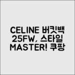 셀린느 25 F/W 스몰 버킷 백: 스타일 마스터!