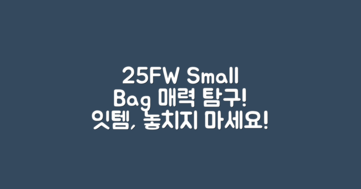 25 F/W, 스몰 백의 매력