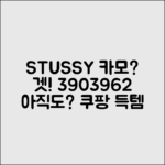 스투시 카모 티셔츠 3903962, 아직도 못 구했다면?