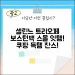 셀린느 트리오페 보스턴백 스몰: 누구나 탐낼 잇템!