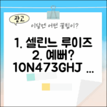셀린느 미니 루이즈, 10N473GHJ.38NO, 예쁜가요?