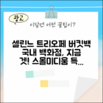 국내백화점 셀린느 트리오페 버킷백: 스몰&미디움, 지금 겟!