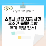 스투시 베이직 반팔, 지금 사면 후회 0%!
