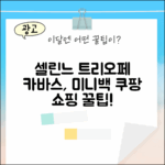 셀린느 트리오페 카바스백 캔버스, 미니버티컬 가방의 매력!