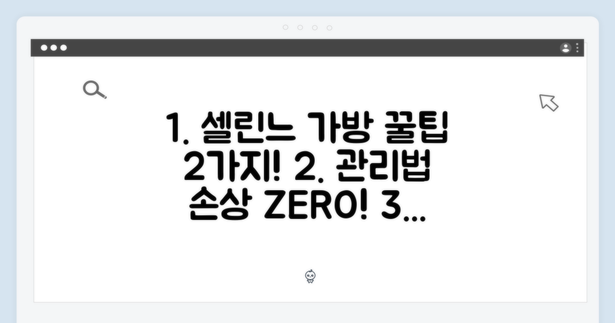 2가지 셀린느 가방 관리법