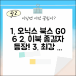 놀라운 오닉스 북스 GO 6, 이북 종결자!
