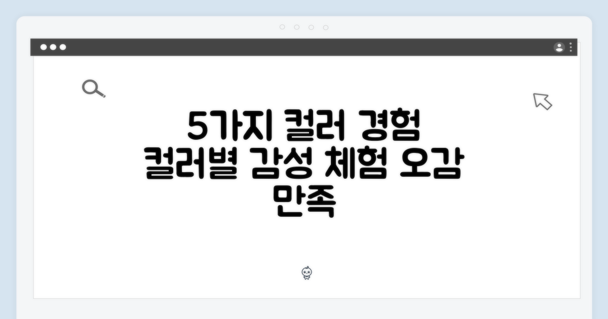 5가지 컬러 경험
