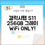 갤럭시탭 S11 256GB 그레이, WiFi 전용의 매력은?