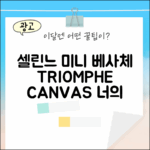 셀린느 미니 베사체, 트리오페 캔버스 카프스킨 196702BZJ 04LU, 너의 선택은?