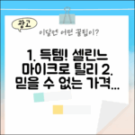 믿을 수 없는 국내백화점 셀린느 마이크로 틸리 득템!