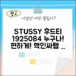 스투시 후드티 1925084, 누구나 입기 딱!
