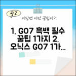 오닉스 북스 GO7 흑백: 1가지 필수 활용법