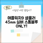 애플워치9 셀룰러 45mm 실버: 스톰블루 1가지 선택!