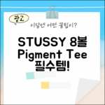 STUSSY 8볼, 놀라운 피그먼트 반팔티!