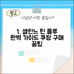국내백화점] 셀린느 틴 룰루 마스터 가이드