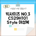빅사이즈 C529H101: 여성의류 NO 3가지 스타일
