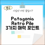 파타고니아 레트로 파일 재킷 22795P7: 3가지 매력 포인트