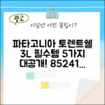 파타고니아 토렌트쉘 3L 재킷: 85241q7 필수템 5가지